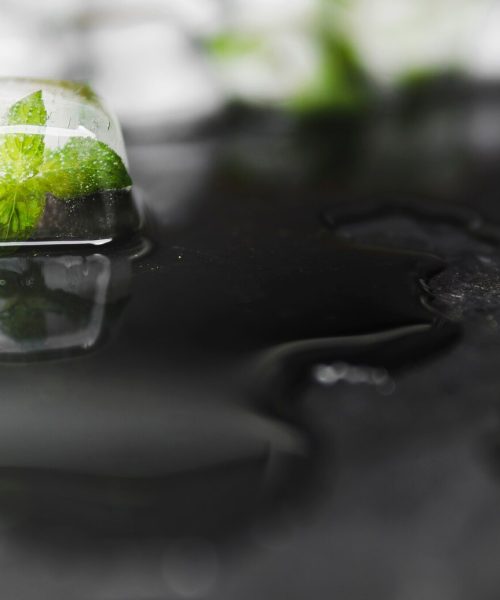 leaves-ice-block-near-water_23-2148216329